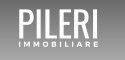 Pileri immobiliare