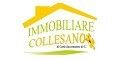Immobiliare Collesano S.a.s. di Carla Saccomanno & C.