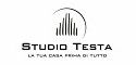 Studio testa