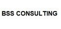 BSS CONSULTING SRL