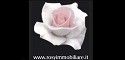 Rosy Immobiliare