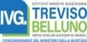 Istituto Vendite Giudiziarie Treviso e Belluno