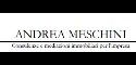Andrea Meschini