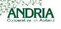 ANDRIA S.C.R.L.