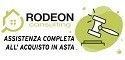 Rodeon consulting