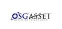 Qsg Asset