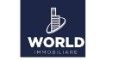 World Immobiliare Srl