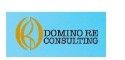 DOMINO RE CONSULTING