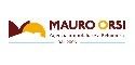 Orsi Immobiliare