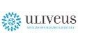 ULIVEUS | APULIAN HOUSES AND LIFESTYLE