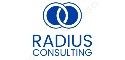 Radius Consulting  Aste e  Pre-Aste Immobiliari