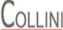 Immobiliare Collini Snc di A. Collini e L. Collini