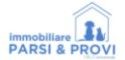 Parsi & Provi