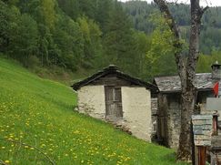 Rustico/Casale in Residenziale