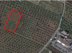 Terreno agricolo in Commerciale