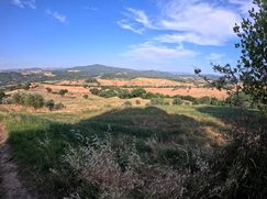 Rustico/Casale in Residenziale