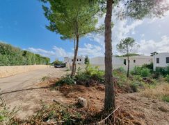 Terreno edificabile in Residenziale