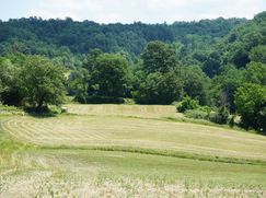 Rustico/Casale in Residenziale