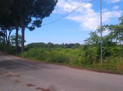 Terreno agricolo in Commerciale