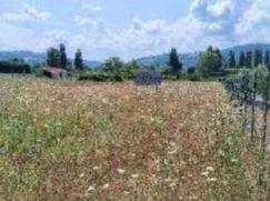 Terreno agricolo in Commerciale