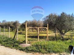 Terreno agricolo in Commerciale