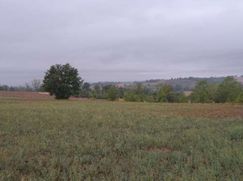 Terreno edificabile in Residenziale