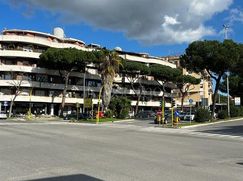 Negozio/Locale commerciale in Commerciale