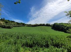 Terreno agricolo in Commerciale