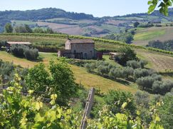 Rustico/Casale in Residenziale