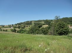 Terreno edificabile in Residenziale