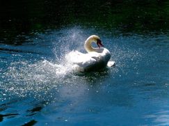 Attico/Mansarda in Residenziale