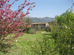Rustico/Casale in Residenziale