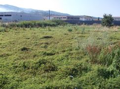 Terreno edificabile in Residenziale