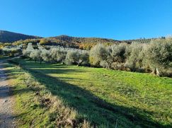 Terreno agricolo in Commerciale