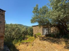 Rustico/Casale in Residenziale