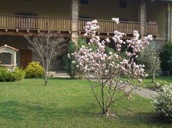 Rustico/Casale in Residenziale