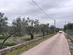 Terreno edificabile in Residenziale