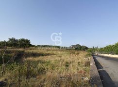 Terreno agricolo in Commerciale