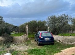 Terreno agricolo in Commerciale