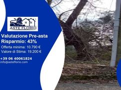 Negozio/Locale commerciale in Commerciale