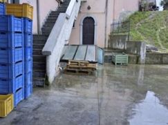 Cantina/Solaio in Residenziale