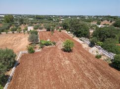Terreno agricolo in Commerciale