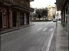 Negozio/Locale commerciale in Commerciale