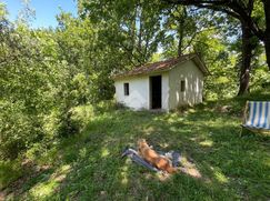 Terreno agricolo in Commerciale