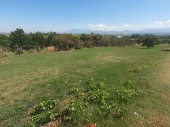 Terreno agricolo in Commerciale