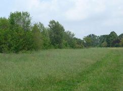 Terreno agricolo in Commerciale