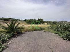 Terreno agricolo in Commerciale