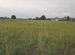 Terreno edificabile in Residenziale