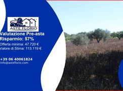 Terreno agricolo in Commerciale