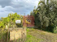 Terreno agricolo in Commerciale
